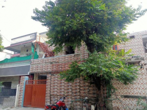 New White Rose Guest House